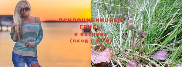 apvp Алексеевка