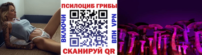 ОМГ ОМГ как войти  Зуевка  Псилоцибиновые грибы Psilocybe 