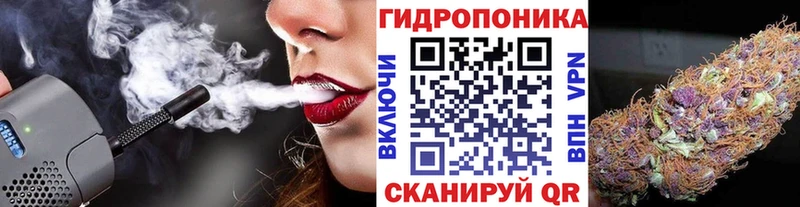 Каннабис план  Зуевка 